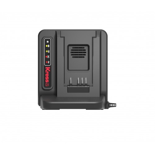 Cargador de 60V 5A